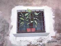 A plant grows through a window