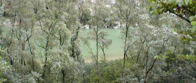 The green and muddy Candigliano River runs 
next to Via Flaminia
