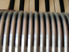 accordian keys