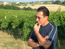 Silvano Strologo stands in his vineyard.